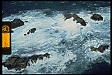 [NOAA OR&R Photo]